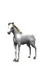 zaldia animatutako-irudiak-gif